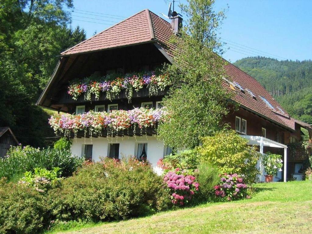 Haus Schneider Apartman Gutach Kültér fotó